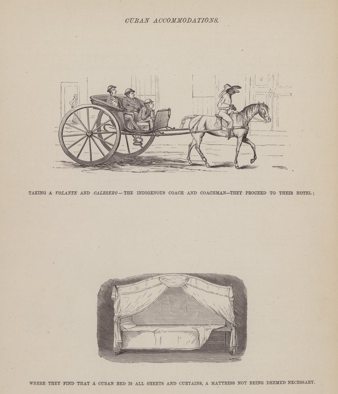Pagina uit De Amerikaanse Tour van de heren Brown, Jones en Robinson door Richard Doyle