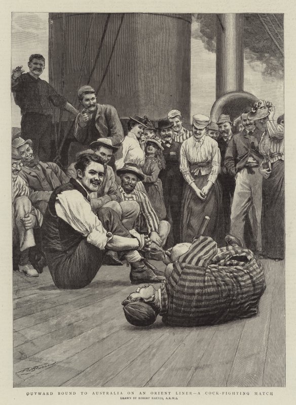 Op weg naar Australië op een Orient Liner, een hanengevecht door Robert Barnes