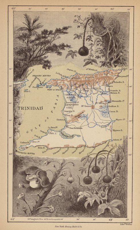 Trinidad door Robert Pritchett