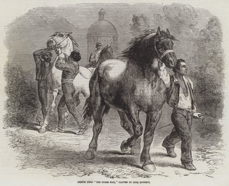 Schets van De paardenmarkt door Rosa Bonheur