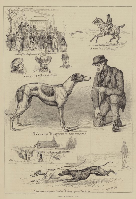 De Waterloo Cup door S.T. Dadd