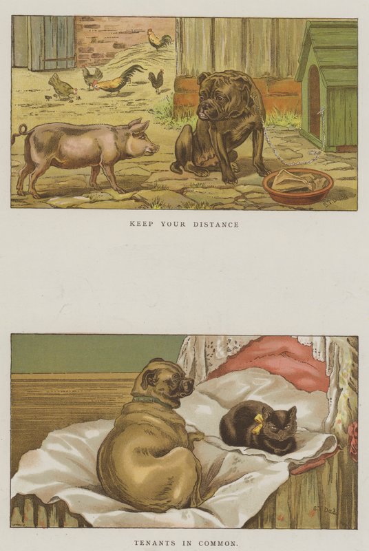 Humoristische honden door S.T. Dadd