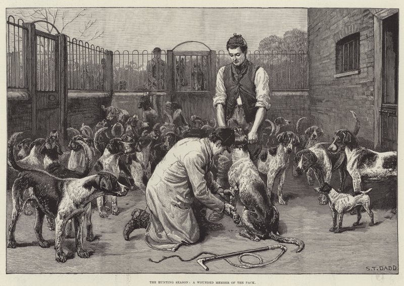 Het jachtseizoen, een gewond lid van de roedel (gravure) door S. T. Dadd
