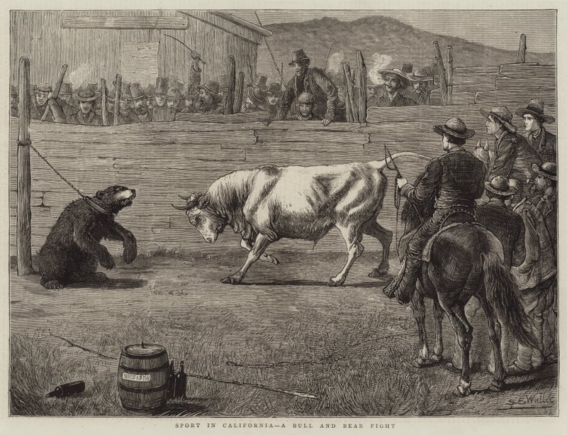 Sport in Californië, een Stieren- en Berengevecht door Samuel Edmund Waller