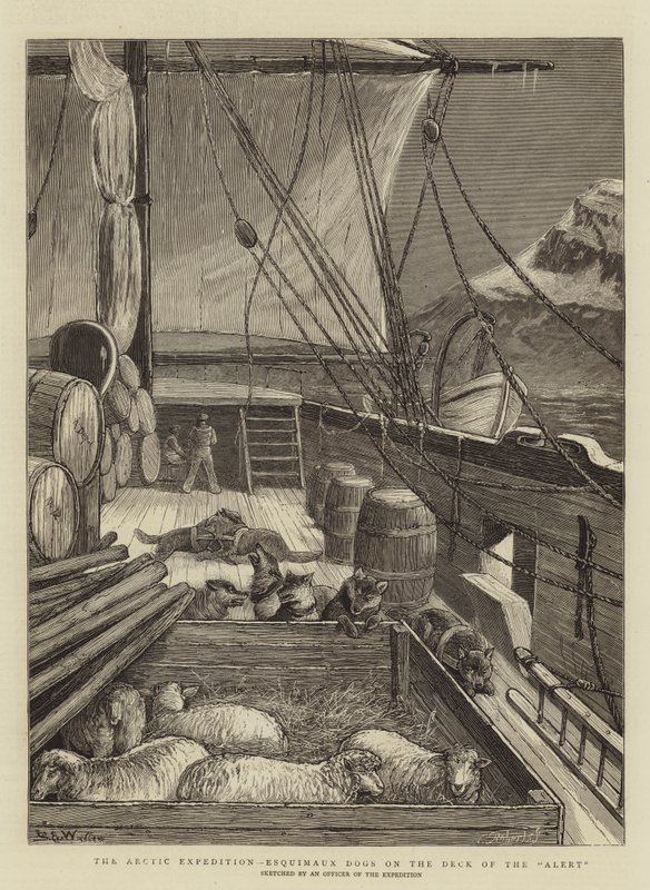 De Arctische expeditie, Eskimohonden op het dek van de Alert door Samuel Edmund Waller