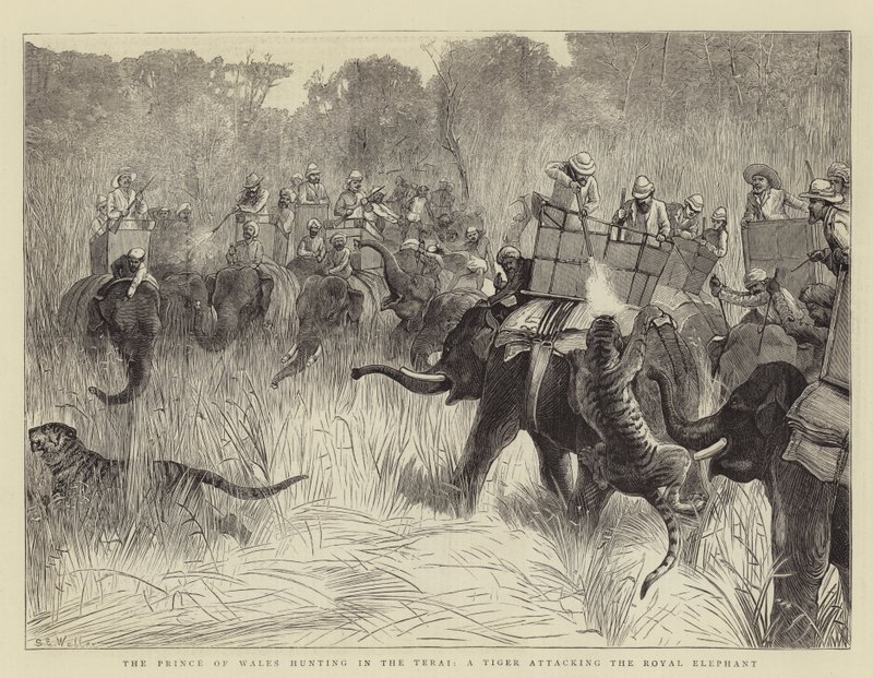 De Prins van Wales op jacht in de Terai, een Tijger die de Koninklijke Olifant Aanvalt door Samuel Edmund Waller