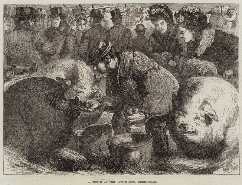 Een schets op de veeshow, Birmingham door Samuel John Carter