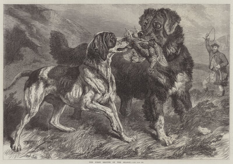De Eerste Korhoen van het Seizoen door Samuel John Carter