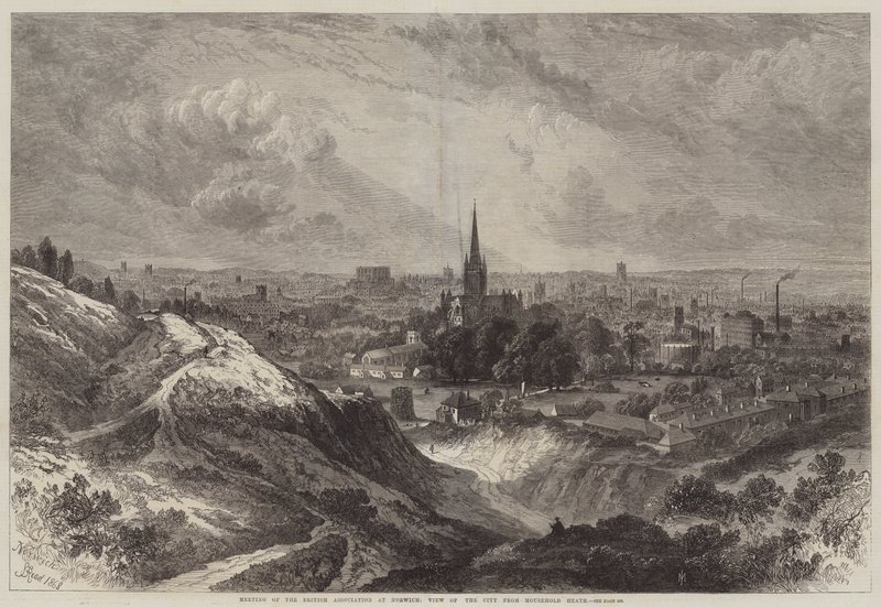 Bijeenkomst van de British Association in Norwich, Zicht op de Stad vanaf Mousehold Heath door Samuel Read