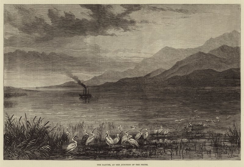 De Donau, bij de Samenvloeiing van de Pruth door Samuel Read