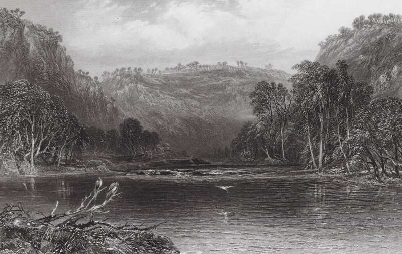 Australië: Aan de Cow Pasture River (gravure) door Samuel (after) Prout