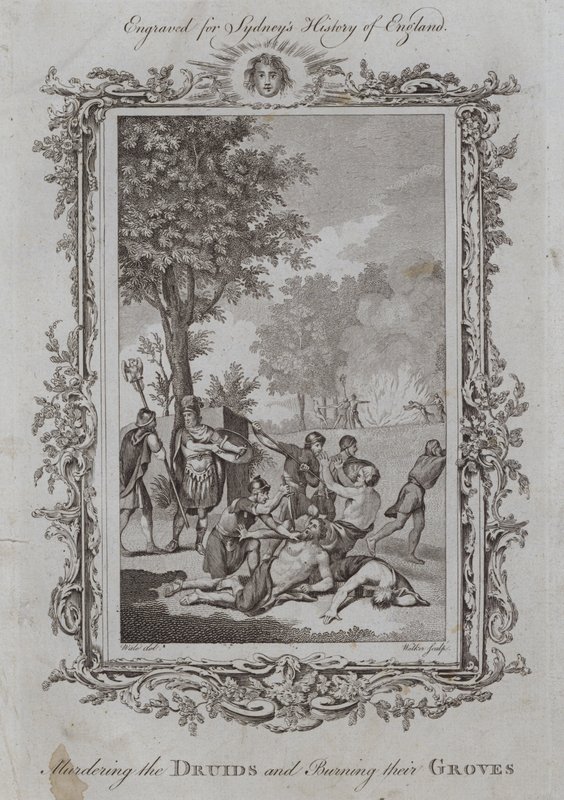 Het Vermoorden van de Druïden en het Verbranden van hun Bossen door Samuel (after) Wale