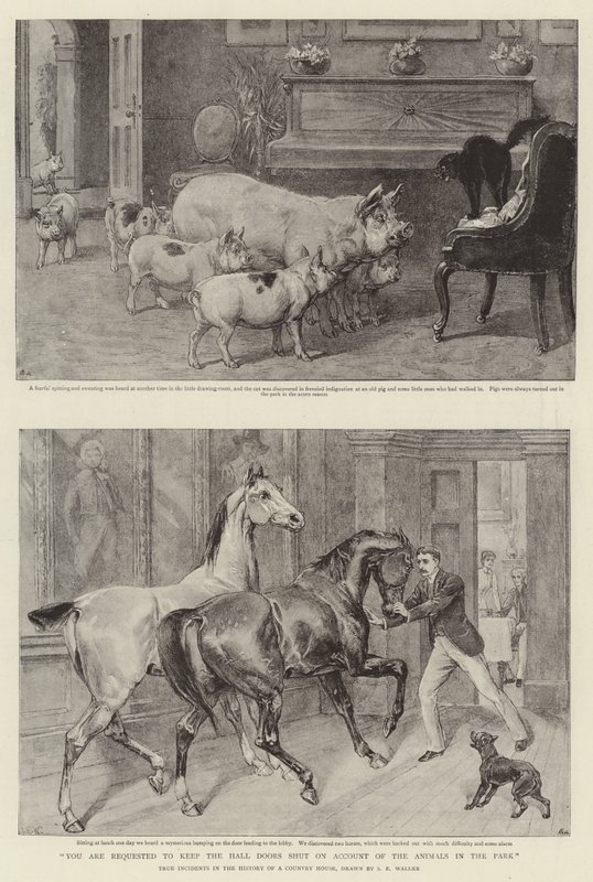 U wordt verzocht de haldeuren gesloten te houden vanwege de dieren in het park door Samuel Edmund Waller