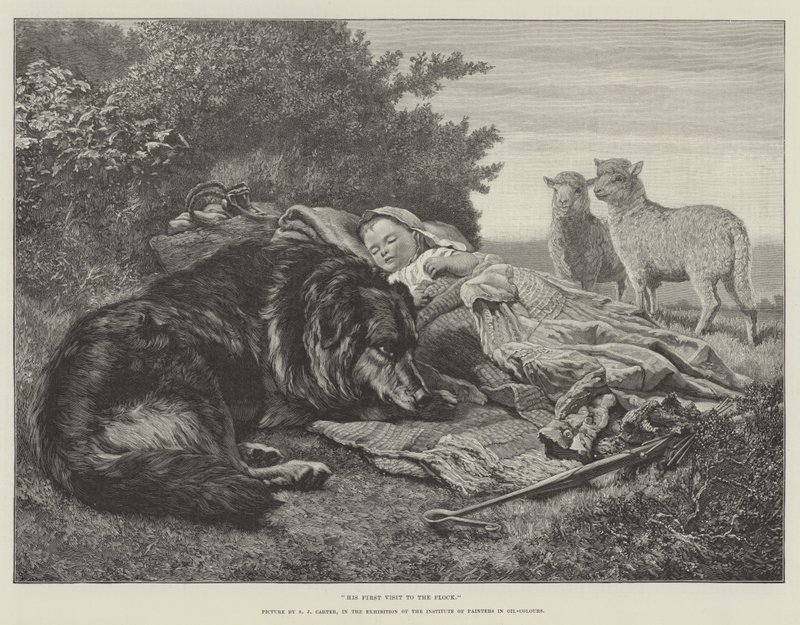 Zijn eerste bezoek aan de kudde, in de tentoonstelling van het Instituut van Schilders in Olieverf door Samuel John Carter