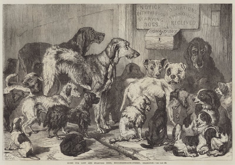 Huis voor verloren en uitgehongerde honden, Hollingsworth-Street, Islington door Samuel John Carter
