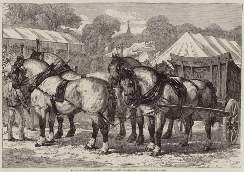 Bijeenkomst van de Lincolnshire Agricultural Society in Sleaford, Eerste-prijs team van paarden door Samuel John Carter