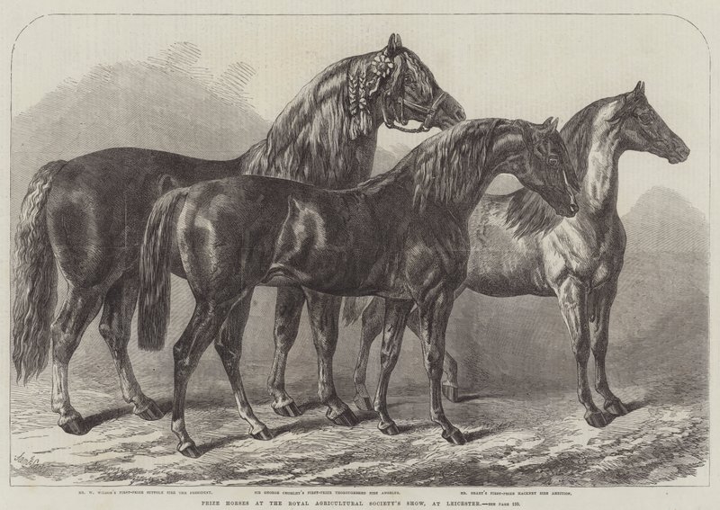 Prijs Paarden op de Royal Agricultural Society