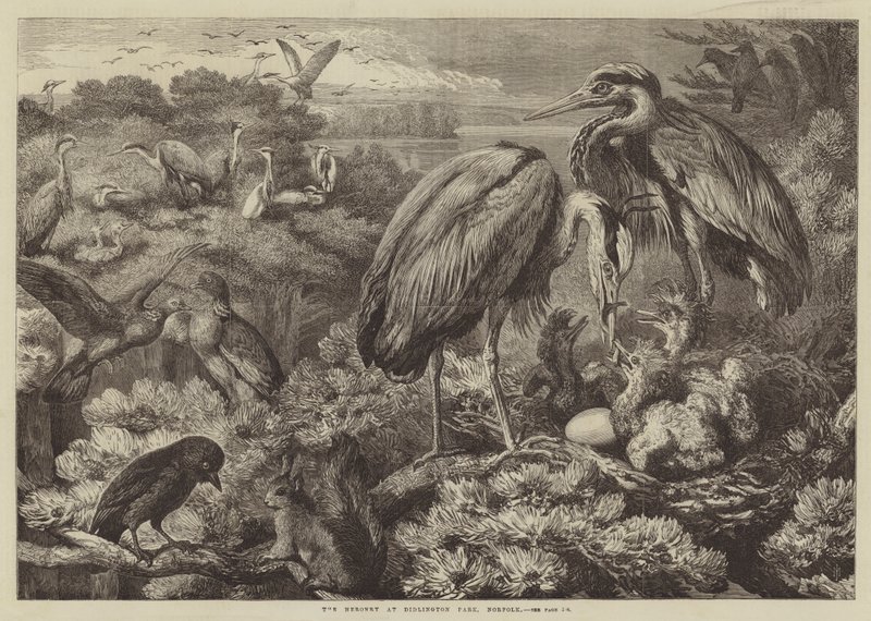 De Reigerkolonie in Didlington Park, Norfolk door Samuel John Carter