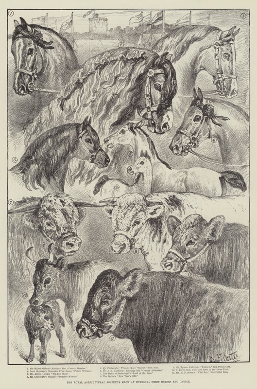 De Royal Agricultural Society