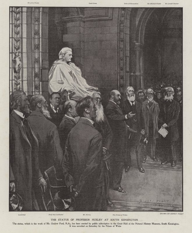 Het standbeeld van professor Thomas Henry Huxley in de Grote Hal van het Natuurhistorisch Museum, South Kensington, Londen (litho) door Sidney Paget