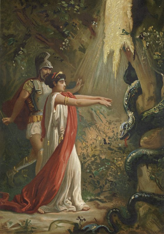 Medea die de draak die het Gulden Vlies bewaakt in slaap brengt door Spanish School