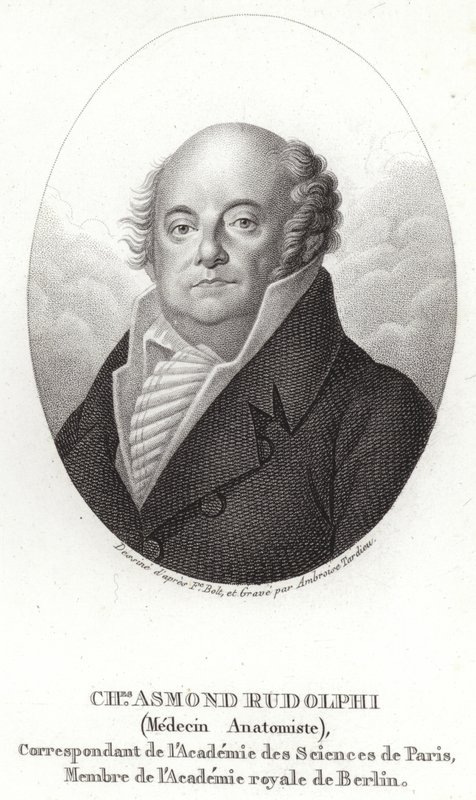 Karl Asmund Rudolphi door Swedish School