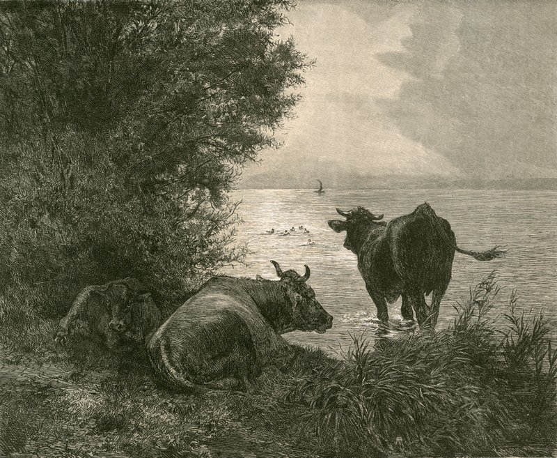 Vroege ochtend op het Meer van Zürich door Swiss School