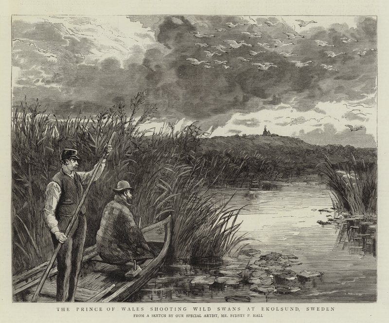 De Prins van Wales schiet wilde zwanen in Ekolsund, Zweden door Sydney Prior Hall