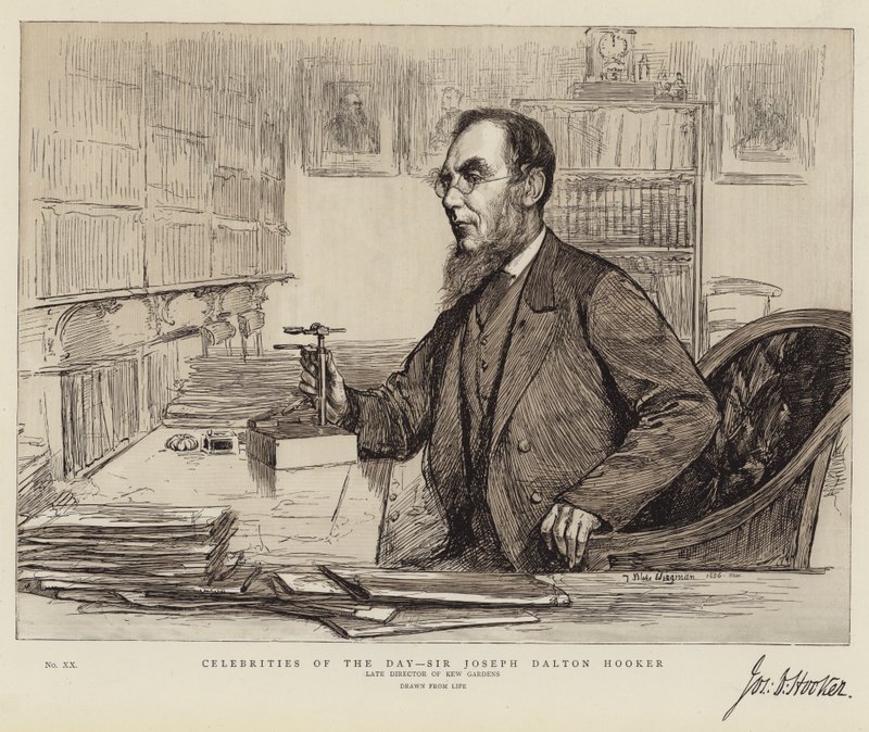 Beroemdheden van de Dag, Sir Joseph Dalton Hooker door Theodore Blake Wirgman