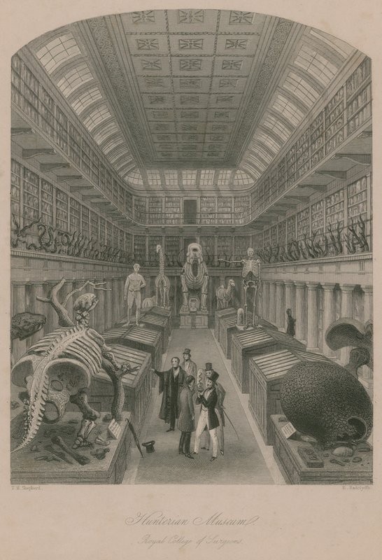 Hunterian Museum, Royal College of Surgeons, Londen door Thomas Hosmer Shepherd