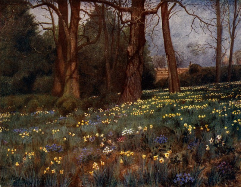 Kew Gardens: De wilde tuin in de lente door Thomas Mower Martin