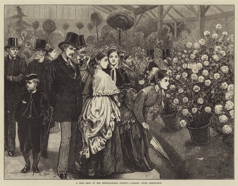 Een rozenexpositie in de tuinen van de Horticultural Society, South Kensington door Valentine Walter Lewis Bromley