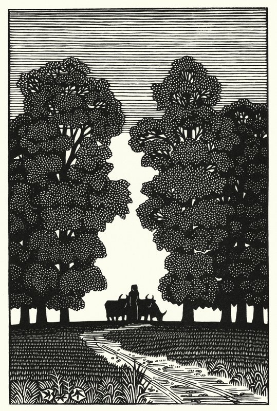 Illustratie voor Tess Of The D