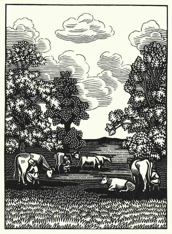 Illustratie voor Tess Of The D