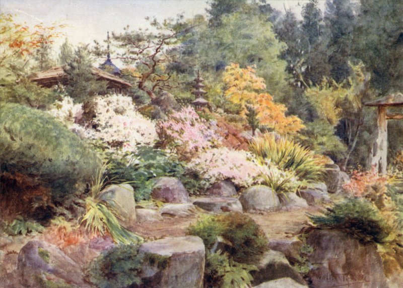 Een Rotstuin in Nikko, Cosmos en Esdoorn door Walter Frederick Roofe Tyndale