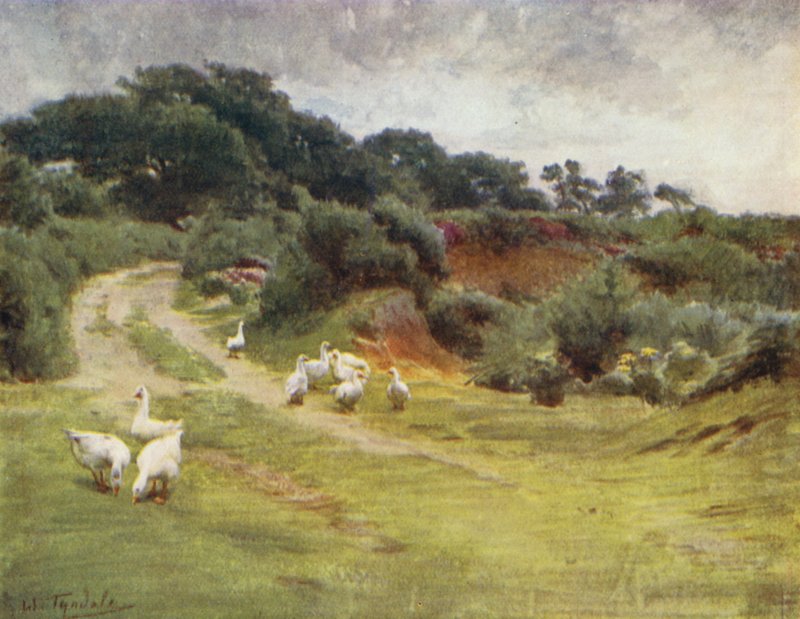 Het New Forest: Royden Common, nabij Brokenhurst door Walter Frederick Roofe Tyndale