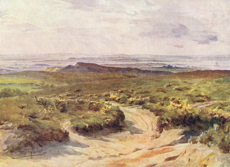 Wessex: Studland Heath, Poole Harbour in de verte door Walter Frederick Roofe Tyndale