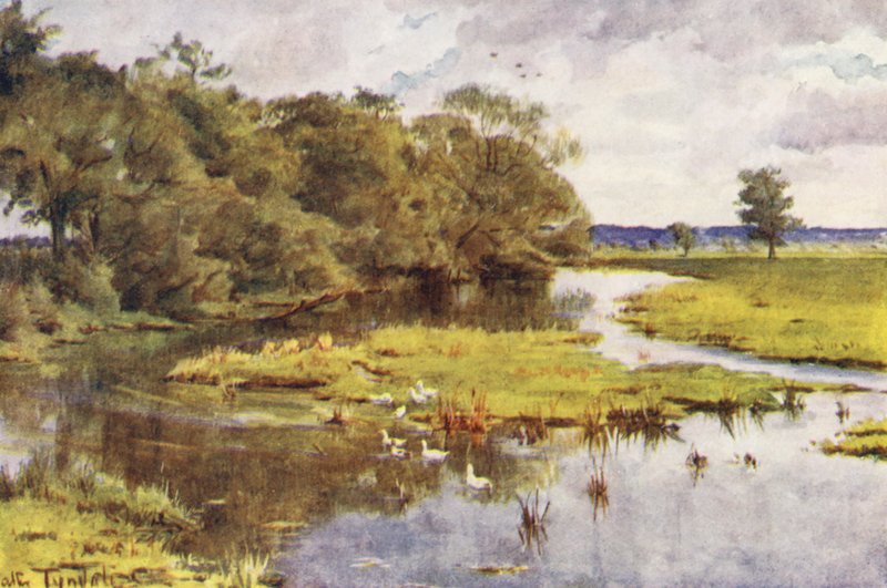 Wessex: De Frome vanaf Bockhampton Bridge door Walter Frederick Roofe Tyndale