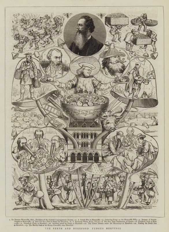 De Schimmelvergaderingen van Perth en Hereford door Walter Granville Smith