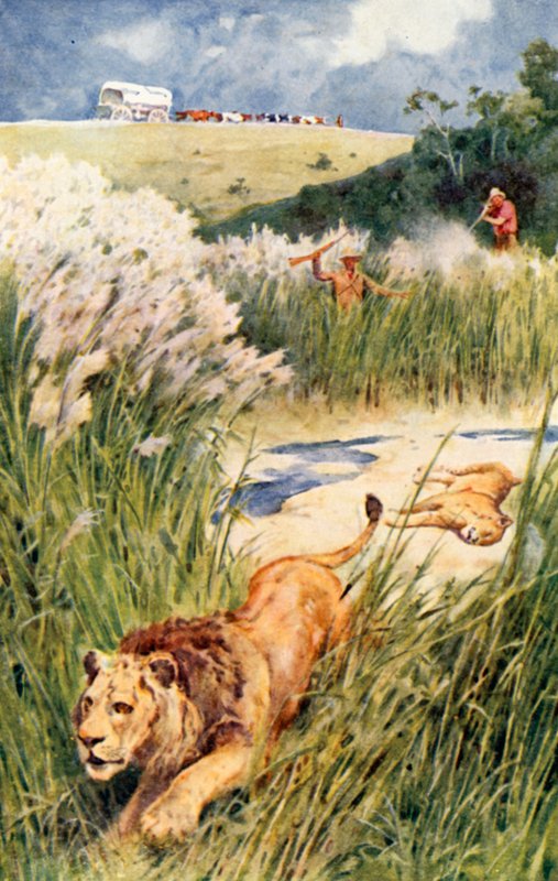 De Boeren van de partij pakten een leeuw en leeuwin moedig aan door Walter Stanley Paget