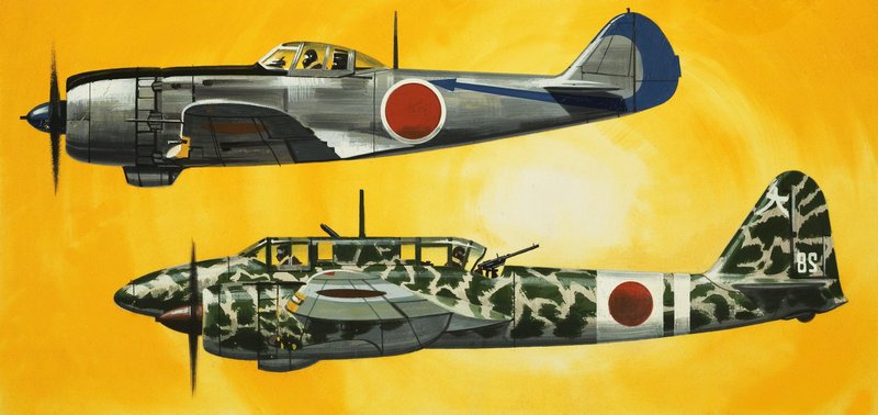 In het blauw: Japanse vliegtuigen uit de Tweede Wereldoorlog door Wilf (20th century) Hardy