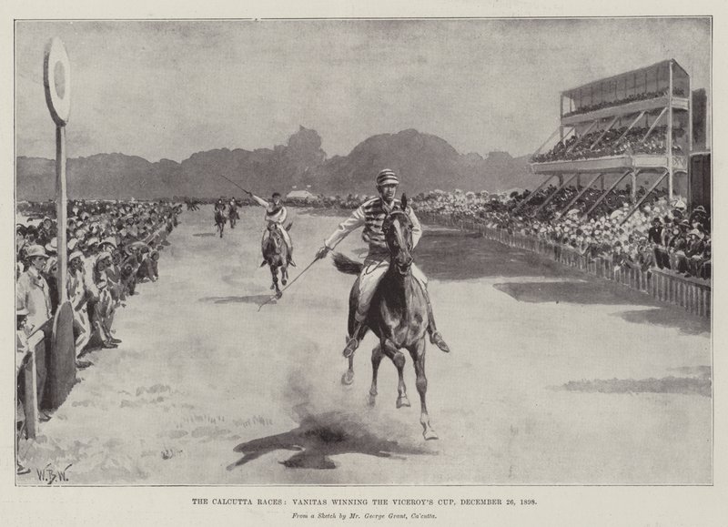 De Calcutta Races, Vanitas wint de Viceroy