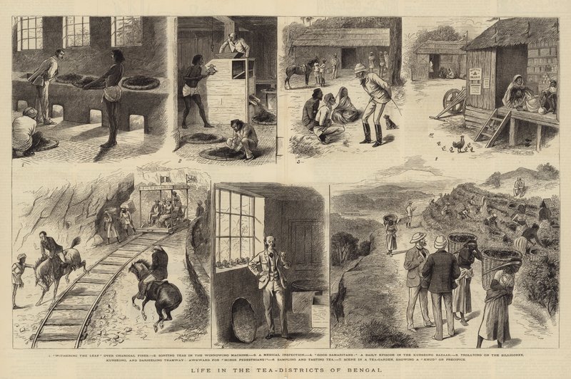 Leven in de Theedistricten van Bengalen door William Ralston