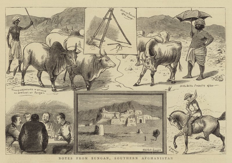 Aantekeningen uit Sungan, Zuid-Afghanistan door William Ralston