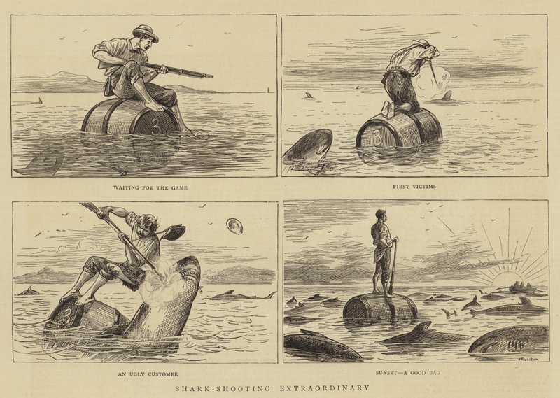 Buitengewoon haaienschieten door William Ralston
