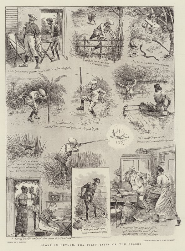 Sport in Ceylon, de eerste snip van het seizoen door William Ralston