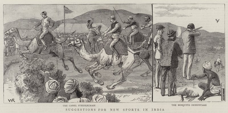 Suggesties voor Nieuwe Sporten in India door William Ralston