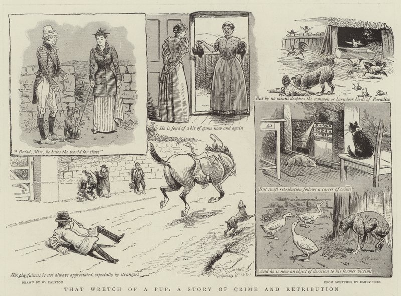 Die ellendige pup, een verhaal van misdaad en vergelding door William Ralston