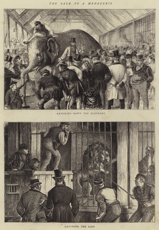De verkoop van een menagerie door William Ralston