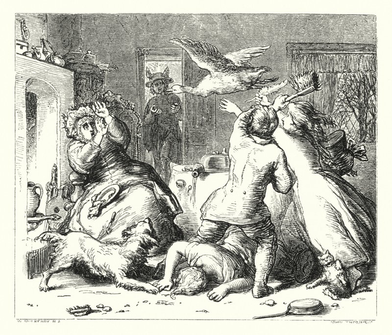 De Gans door William (after) Mulready